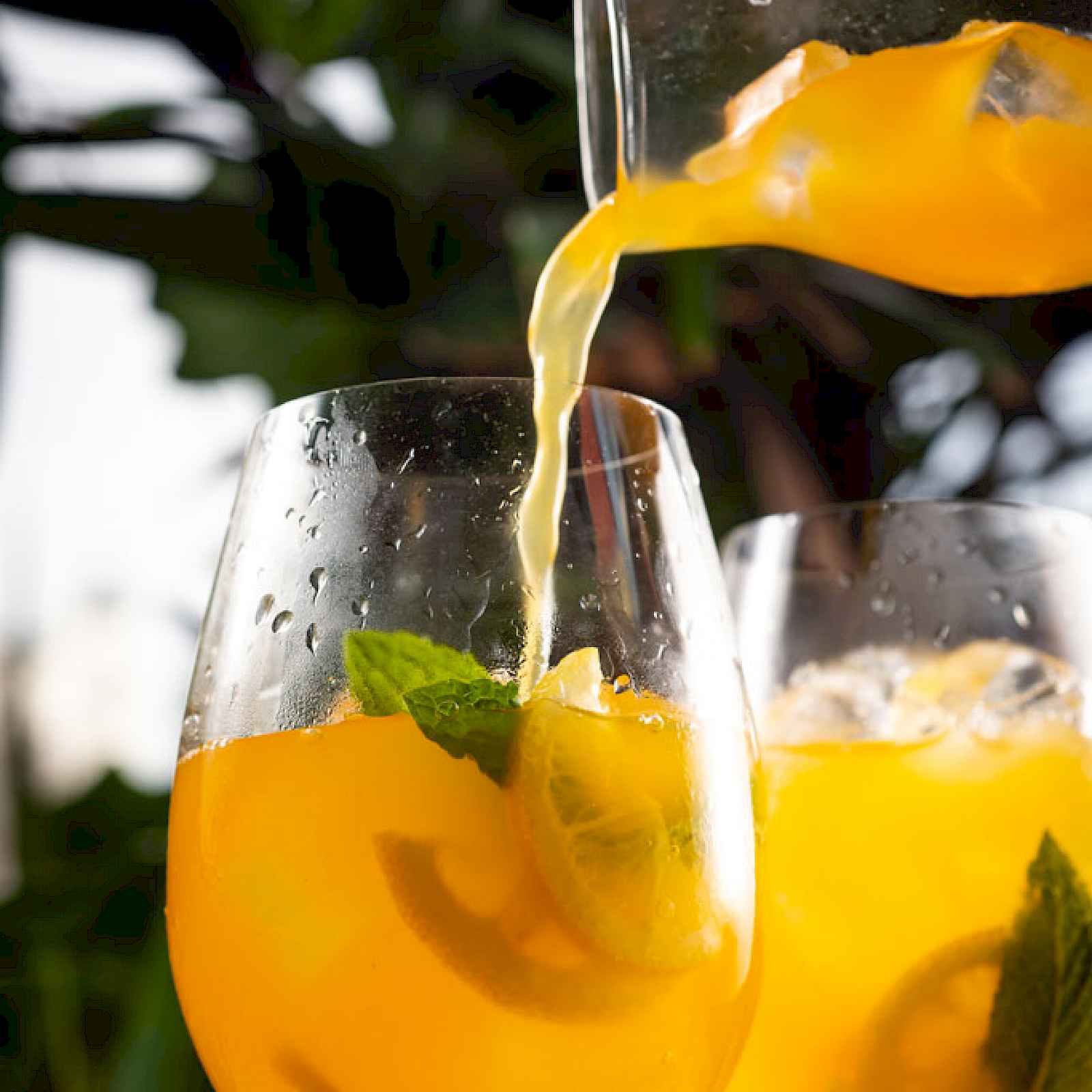 miami_beach_eat_drink.800x800-srcset-hidpi